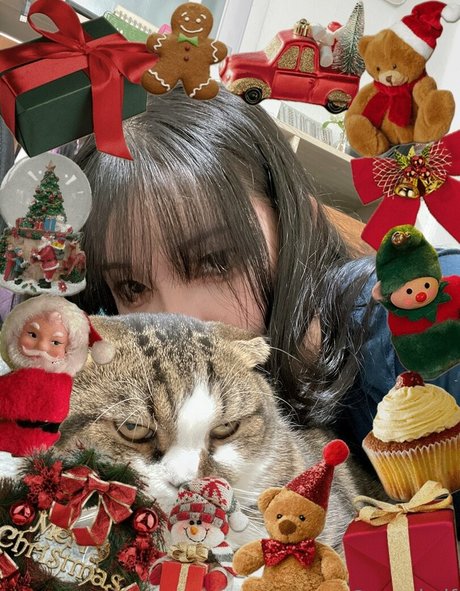 anad df high quality model archive