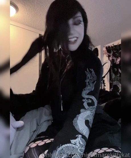 Nightmarekittykat star adult gallery