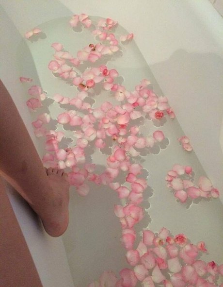 gabrielasellmann pornstar sexy pictures