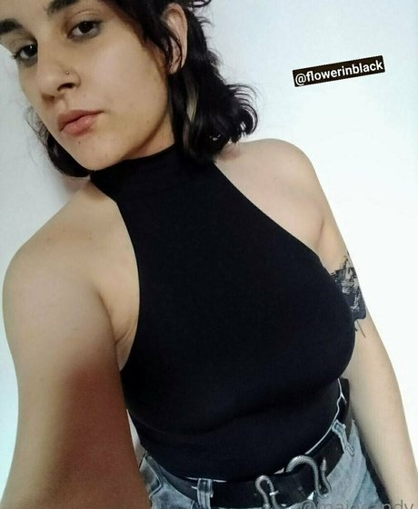 maiacandy pornstar images