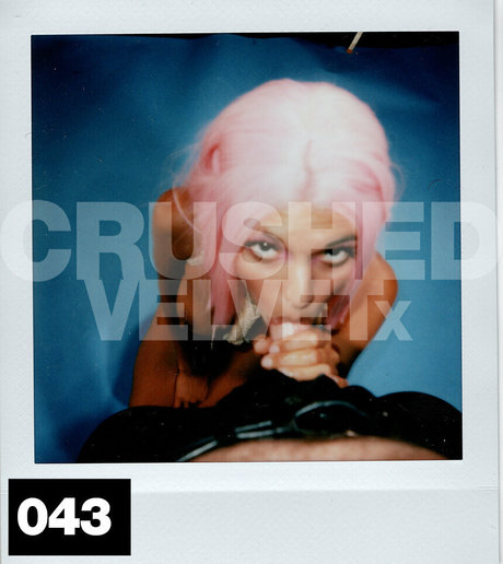 crushedvelvetx model archive