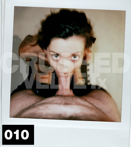 crushedvelvetx star free photo