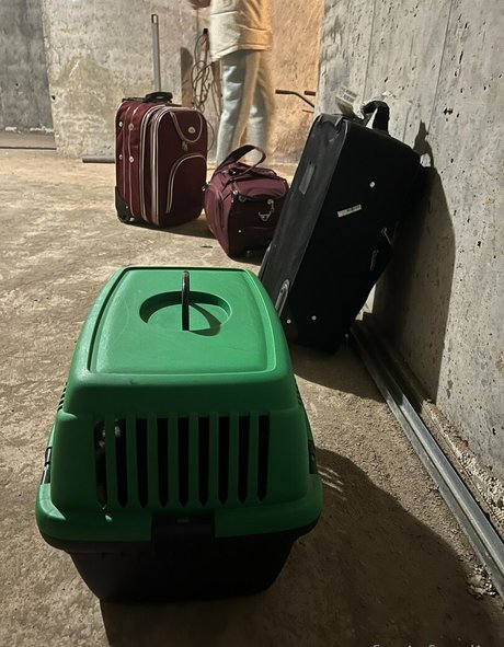 Fenix Fatalist high quality model photo