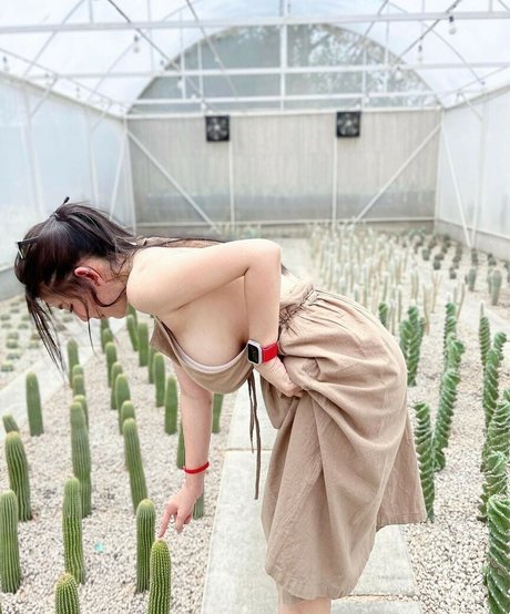 Niparat Konyai star erotic archive