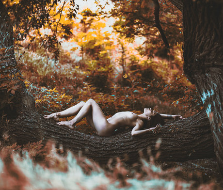 Gabie Yd pornstar naked pics