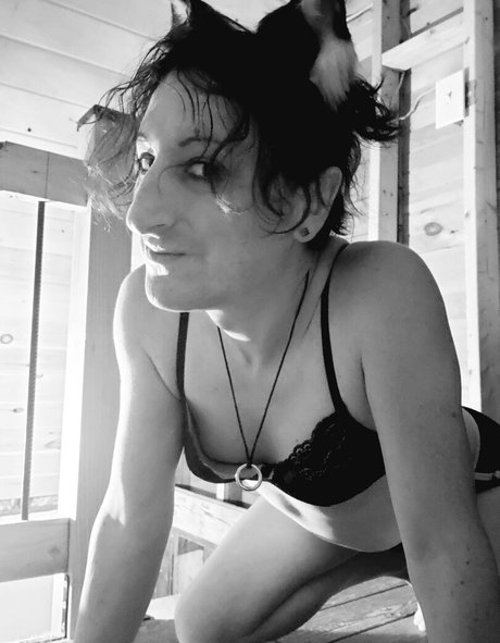 ladymoonbeam exclusive pornstar galleries