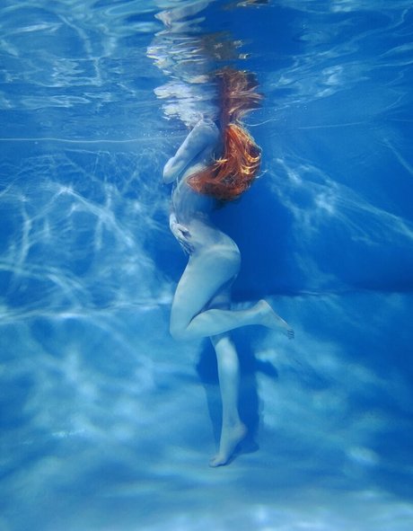 Mik Allen art star gallery