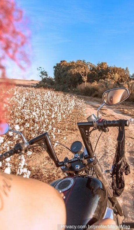 Varias Em Um beautiful star galleries