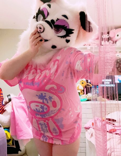 dirty dixie profile pic