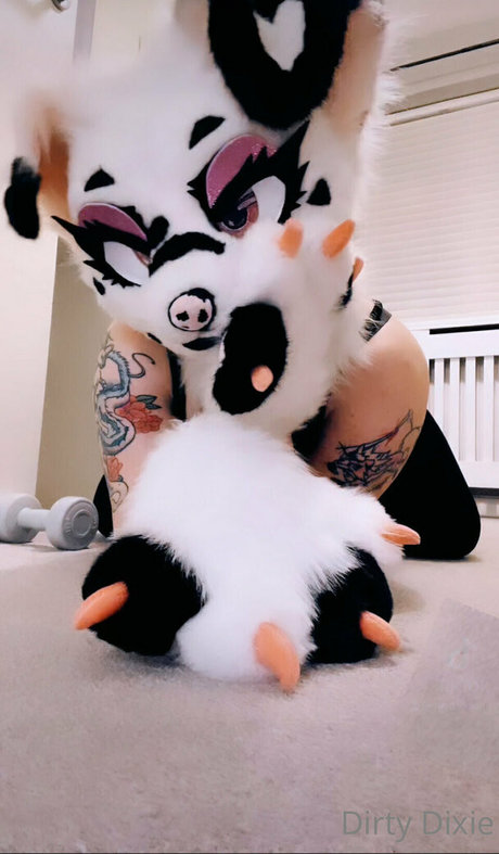 dirty dixie high quality pornstar photo