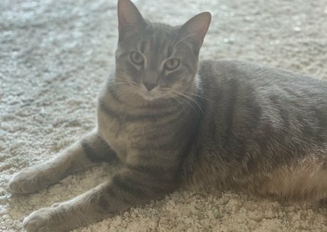 nyxiedust erotic actress galleries