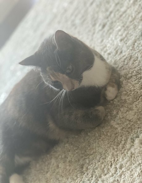 nyxiedust high quality model pics