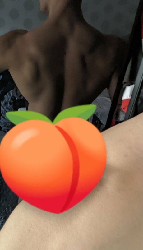 zedldn nice star gallery