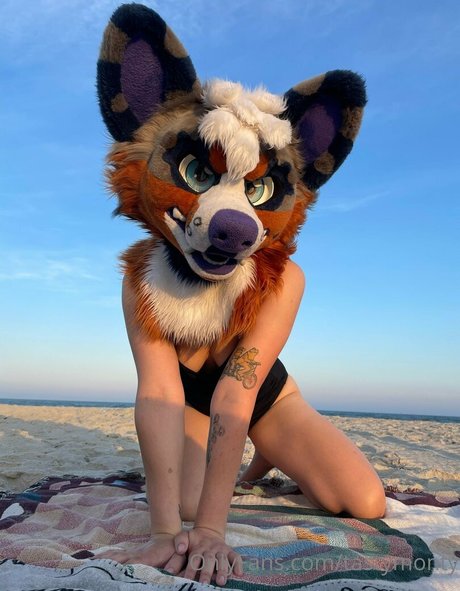 tastymonty pornstar hd pics