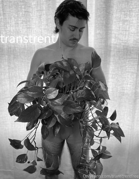 transtrentfree best pornstar galleries