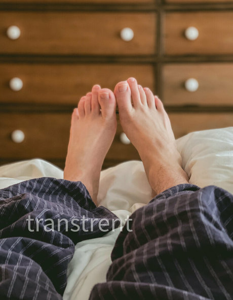 transtrentfree pornographic star archive