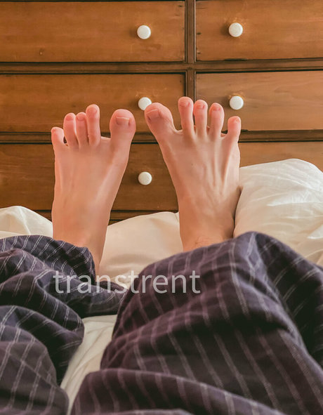 transtrentfree pornstar best archive