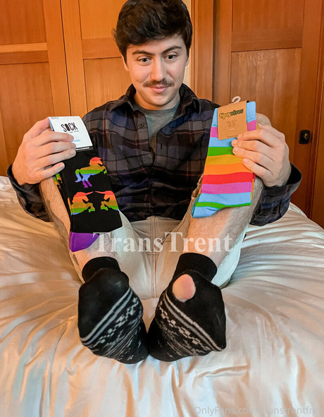 transtrentfree star high quality gallery