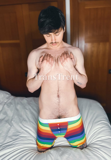 transtrentfree thumbnail