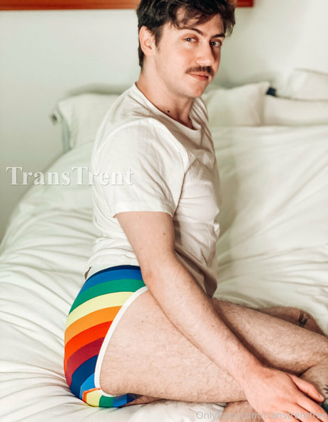 transtrentfree pornstar art picture