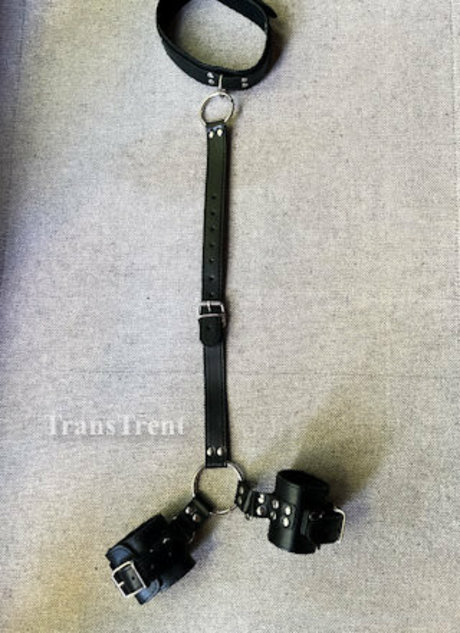 transtrentfree high quality model images