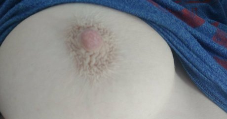 scarletexotic model art images