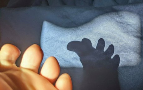 tashad4715 pornstar adult photo