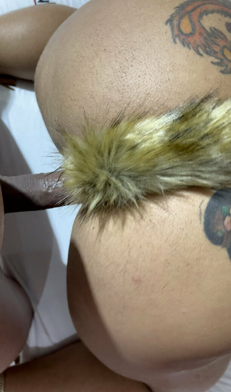 carlainhaia pornstar hot pictures