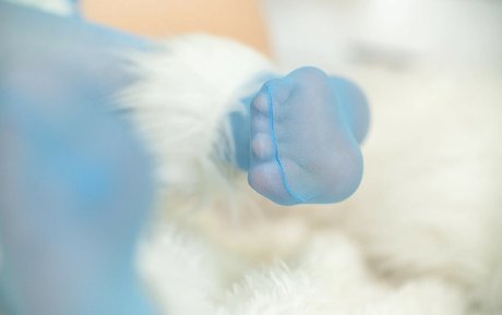 cheese hot pornstar pic