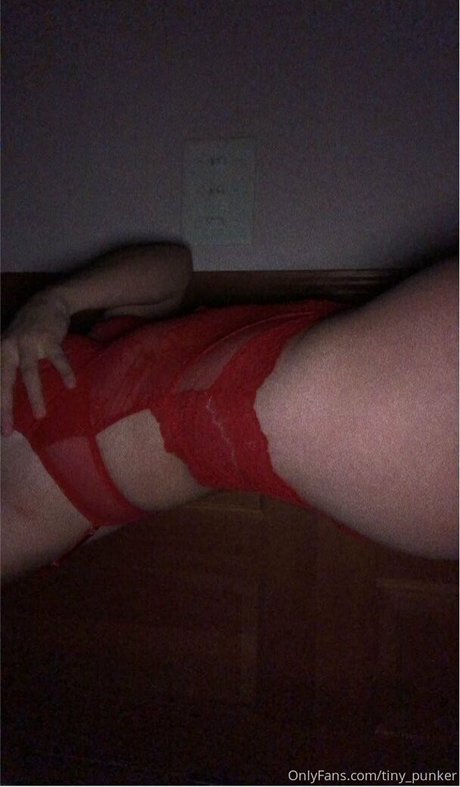 tiny punker pretty model image