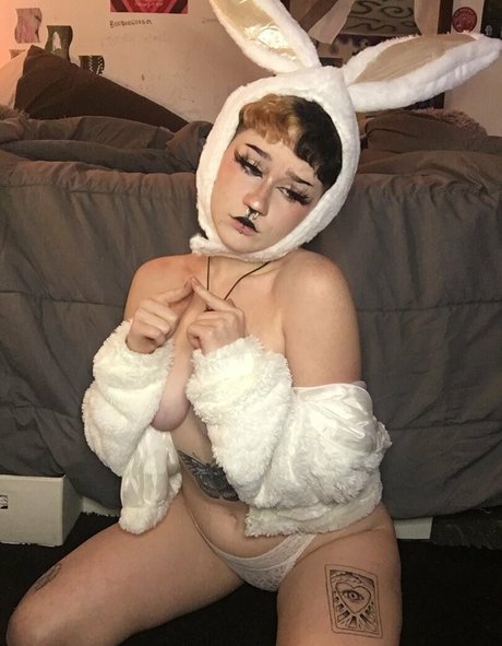 veeginas pornstar top galleries