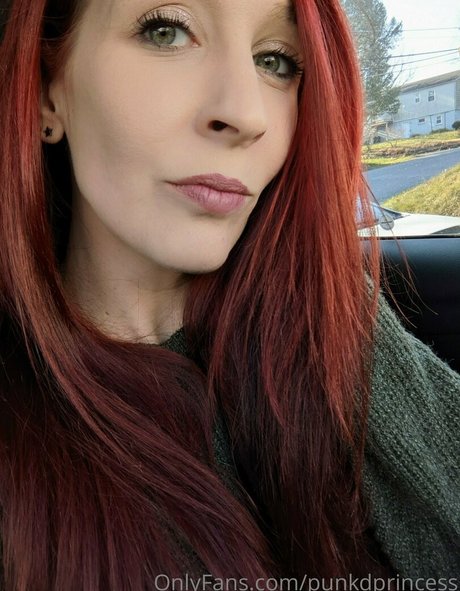 punkdprincess art star gallery