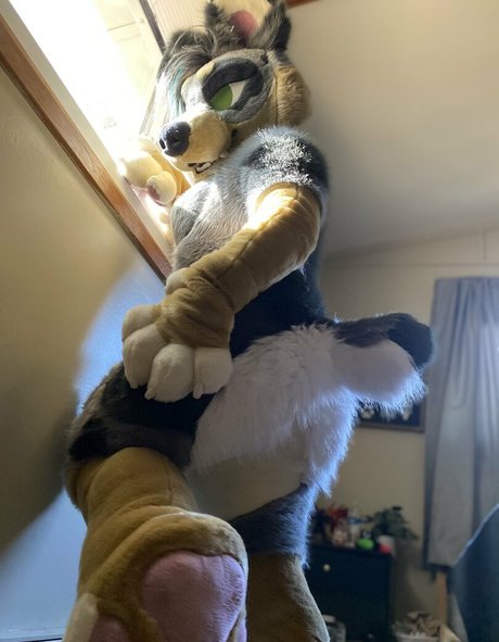 dirty talk onlyfans nudes photo