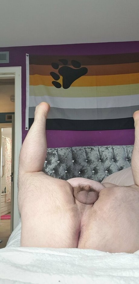 powerboar exclusive pornstar images