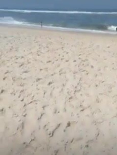 Aline Barreto pornstar hot photo