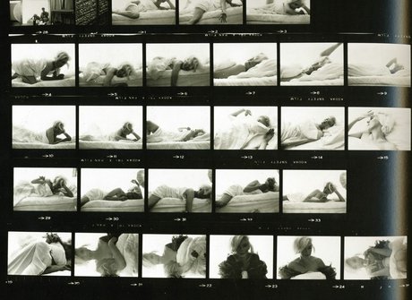 Marilyn Monroe star nudes img