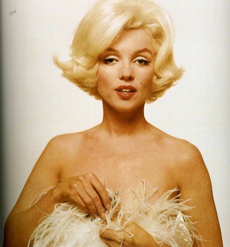 Marilyn Monroe adult model pic