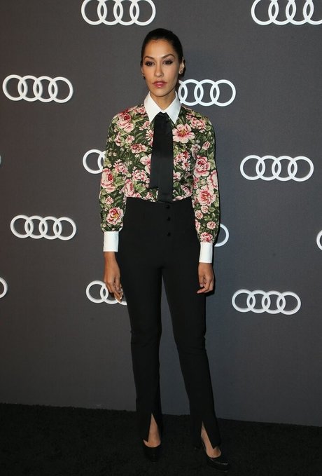 Janina Gavankar hd star pic