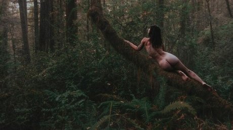 Jenners star erotic pictures