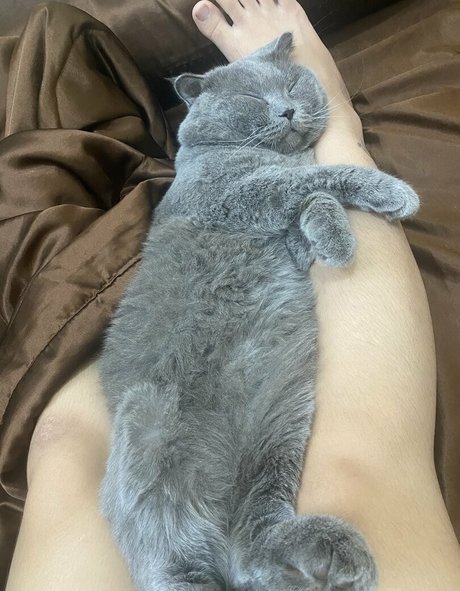 Suniebae perfect model pic