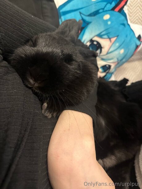 urplpur pornstar art pictures