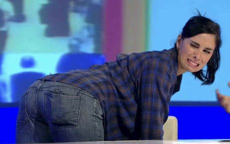 Sarah Silverman art actress picture