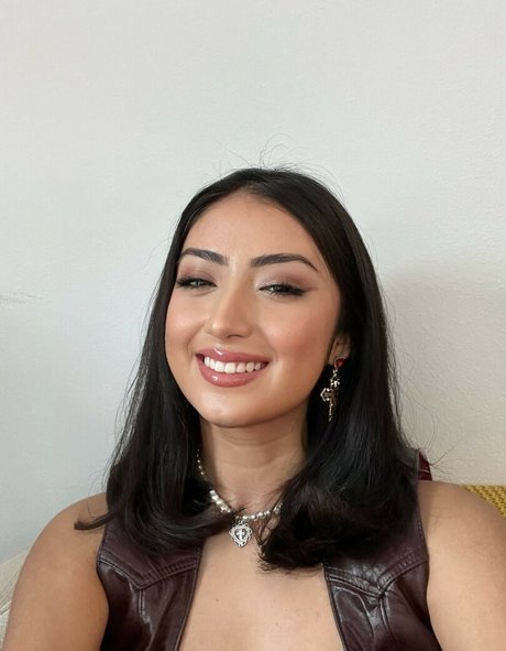 Groupicum model perfect galleries