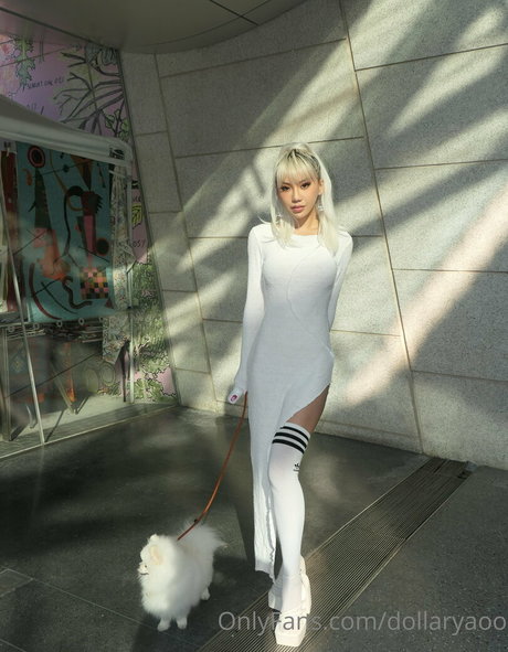 dollaryaoo beautiful model img