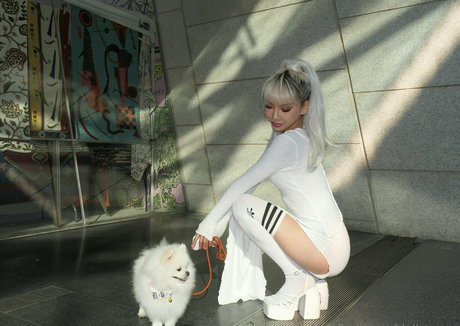 dollaryaoo pornstar nice images