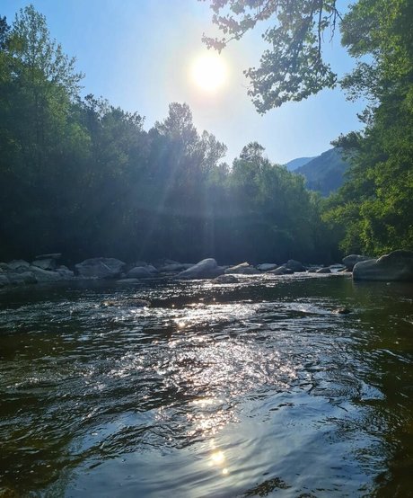 Ann Cygnus adult star galleries