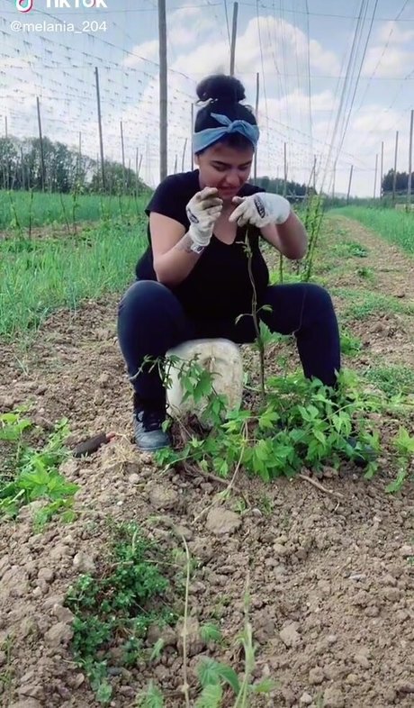 Melannia porn star gallery