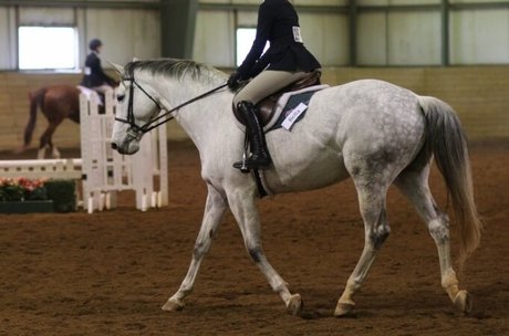 burkekelleher top star pics