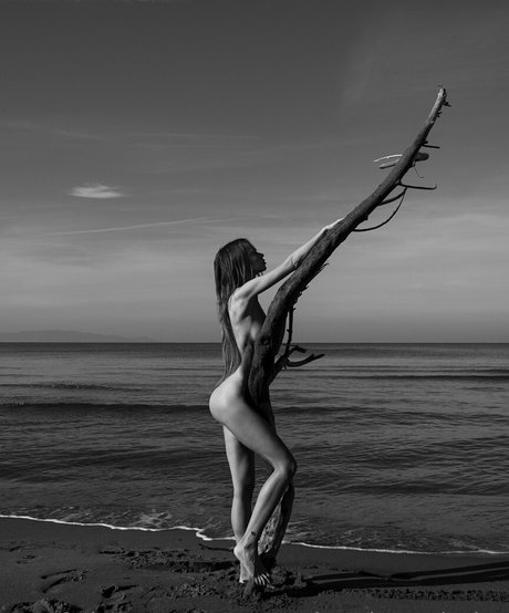 my soul anda exclusive pornstar hot archive