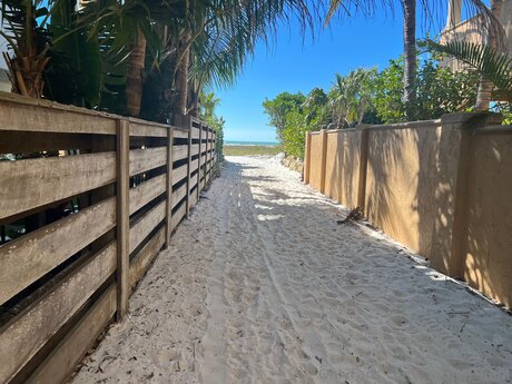 carmen nem thumbnail